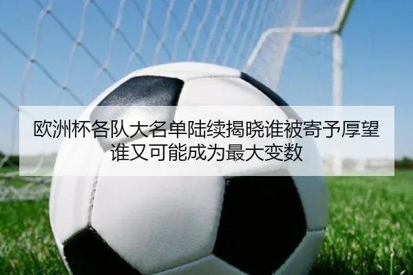 欧洲杯各队大名单陆续揭晓谁被寄予厚望谁又可能成为最大变数